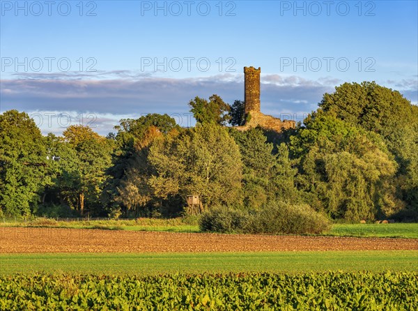 Altenburg ruins in the evening light