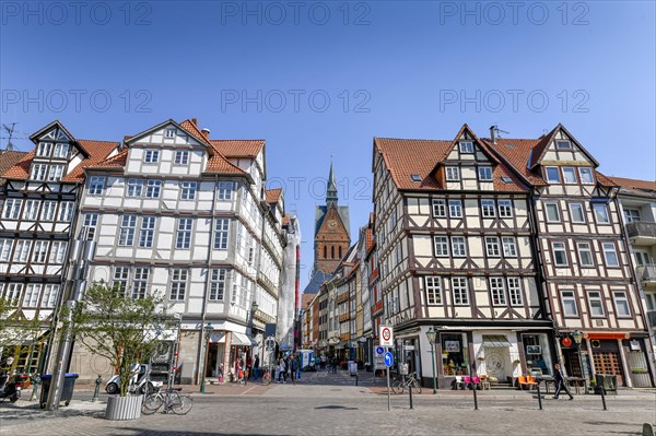 Half-timbered houses