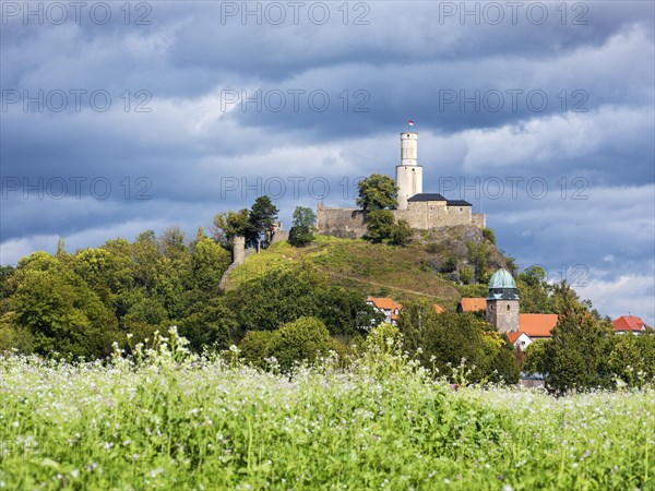 Felsburg Castle