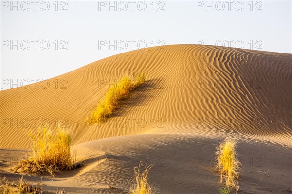 Sand Desert