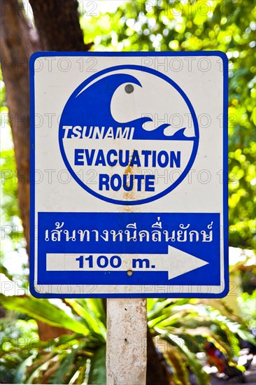 Tsunami warning signs