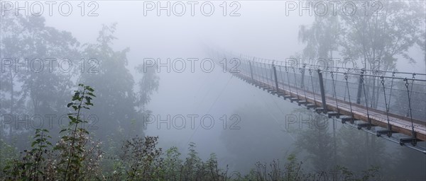 Suspension bridge over the Baerental