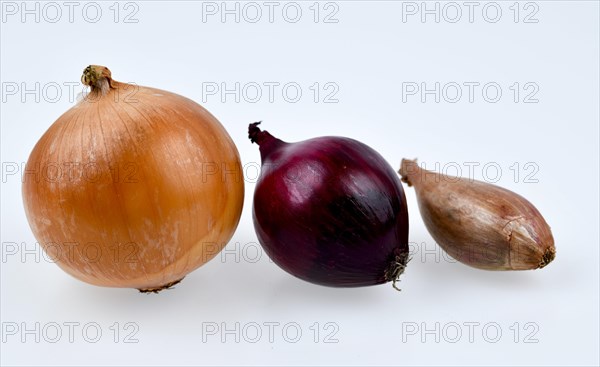 Yellow onion