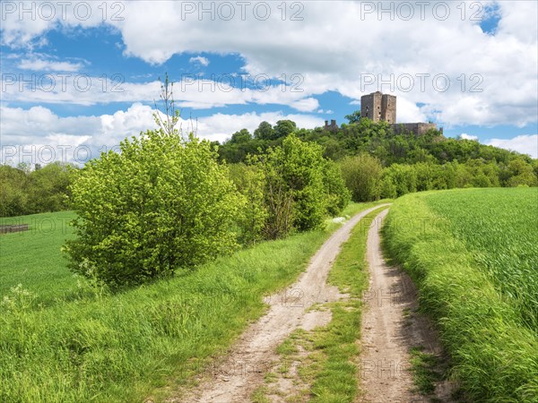 Landscape with field path in spring