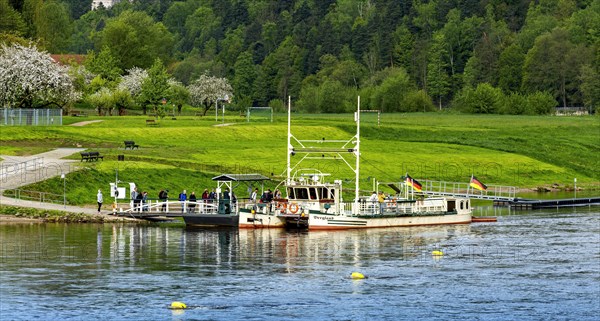 The yaw rope ferry in Rathen