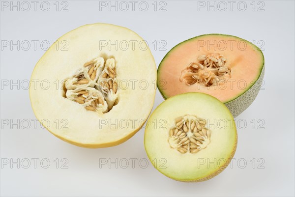 Cantaloupe