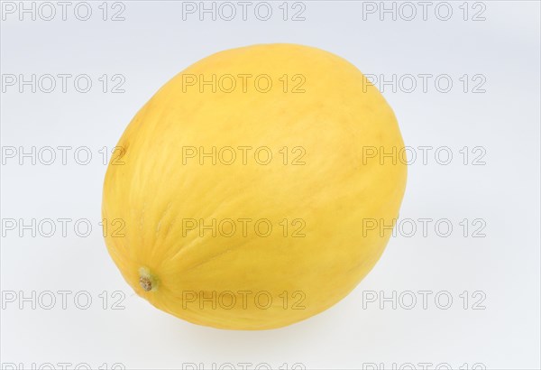Honeydew melon