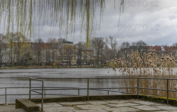 Schaefersee