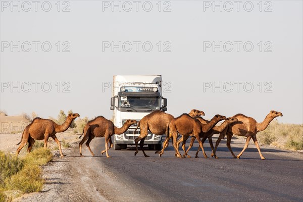 The Modern Silk Road