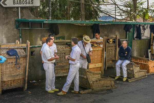 Basket sledge ride