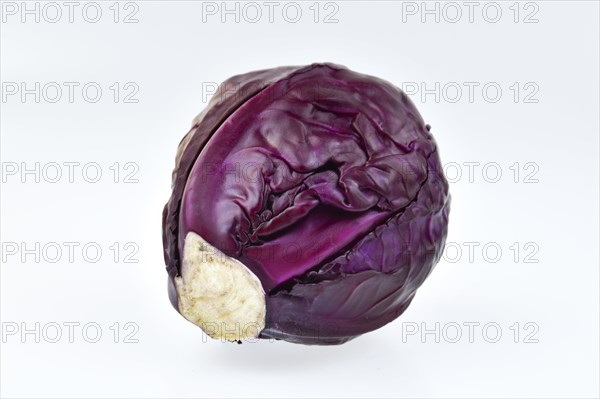 Red cabbage