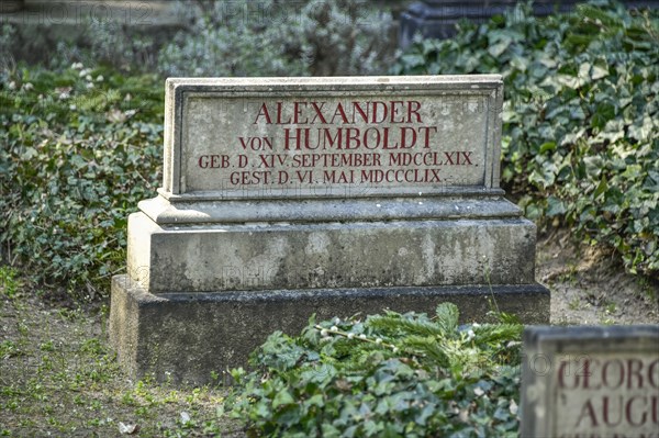 Alexander von Humboldt grave