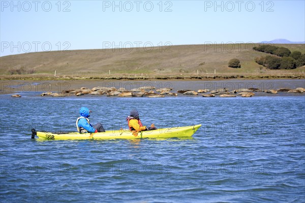 Elkhorn Slough