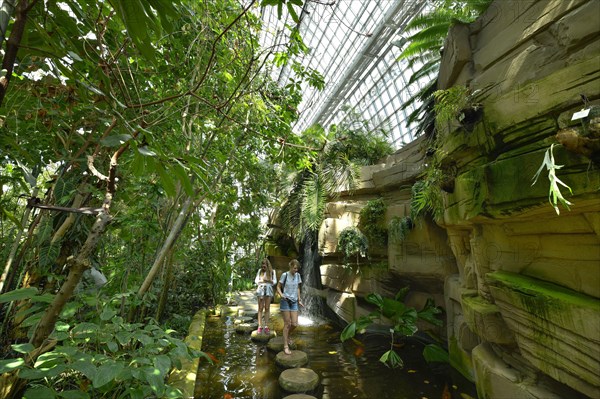 Large Tropical House