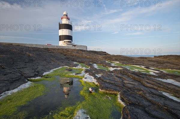 Reflection in the algae at Hook Head Lighthouse