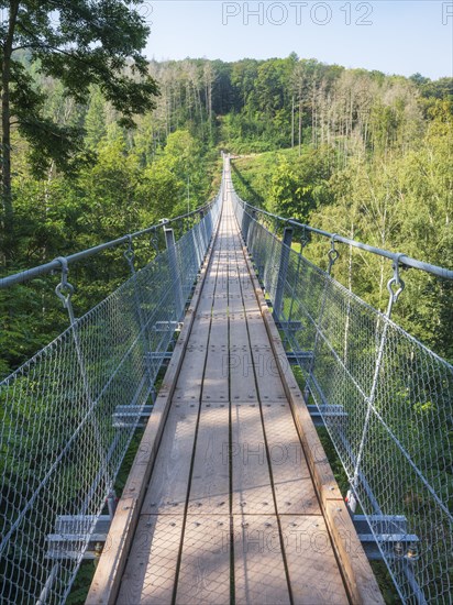 Suspension bridge over the Baerental