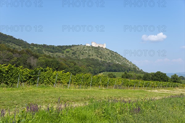 Devicky Castle Ruin