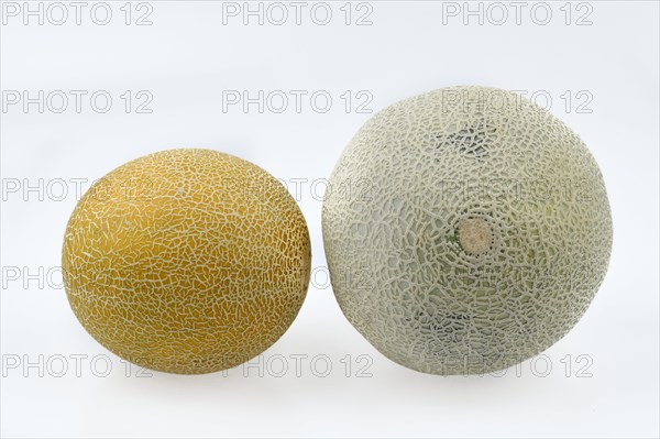 Galia melon