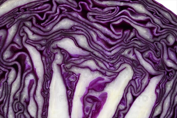 Red cabbage