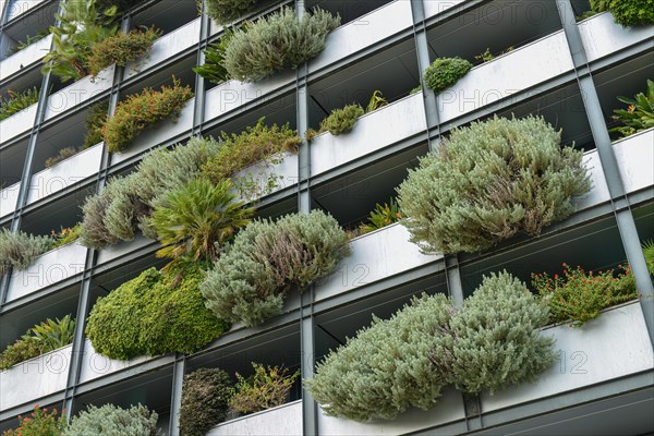 Balconies Overgrowth