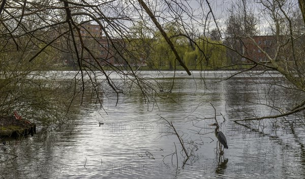 Schaefersee