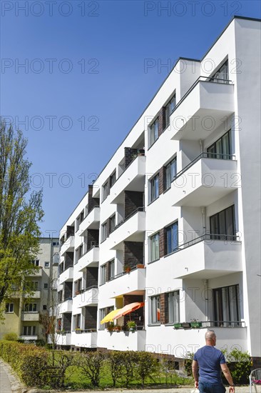 Walter Gropius' residential buildings