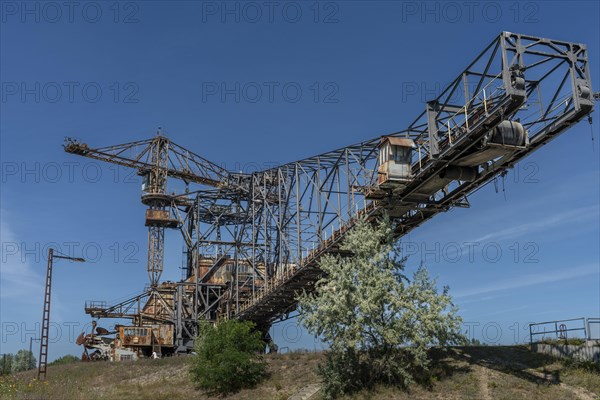 Old lignite excavators in Ferropolis