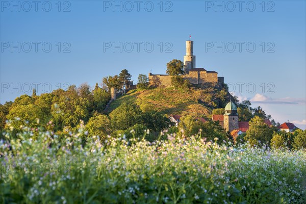 Felsburg Castle in the evening light