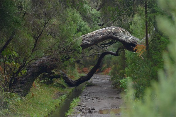 Hiking trail