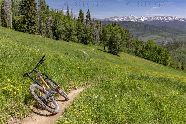 Bike Trail