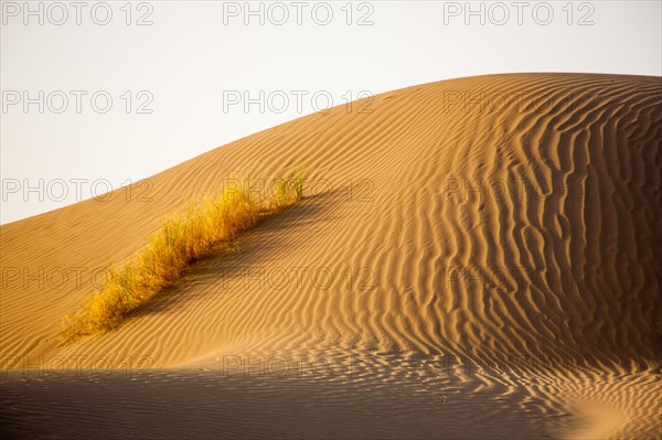 Sand Desert