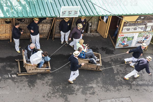 Basket sledge driver