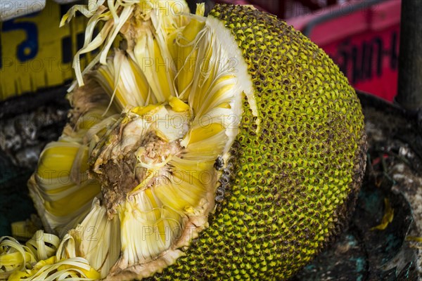 Jackfruit