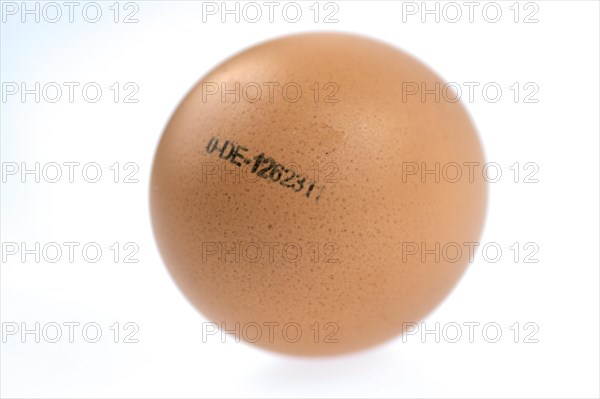 Egg