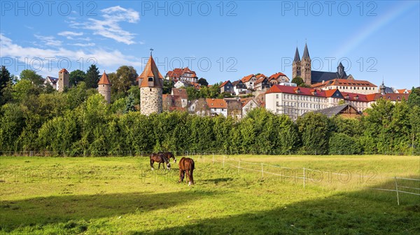 View over horse paddock to the old town with fortified towers