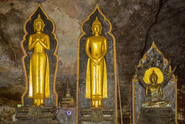 Buddha statues