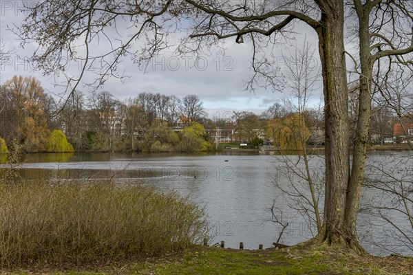 Schaefersee