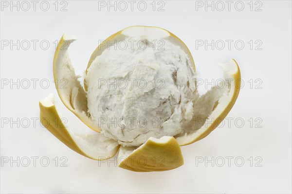 Peeled chinese grapefruit