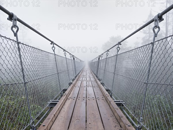 Suspension bridge over the Baerental
