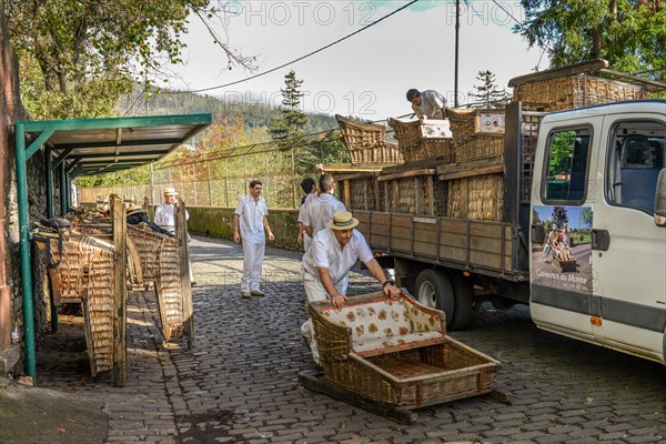 Basket sledge ride