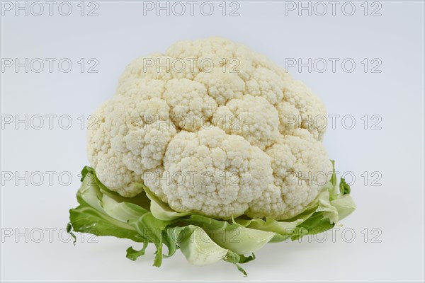 Cauliflower