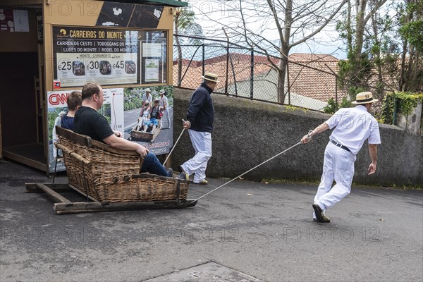 Basket sledge driver