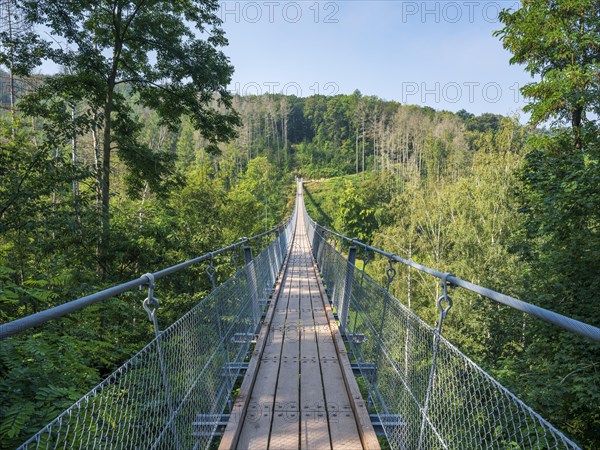 Suspension bridge over the Baerental