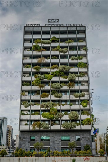 Balconies Overgrowth