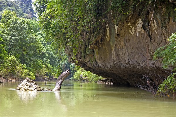 Khao Sok National Park/ Khao Sok National Park