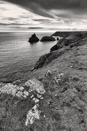 Coast at Kynance Cove