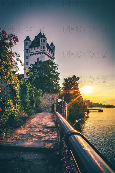 Electoral castle on the banks of the Rhine