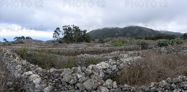 Typical landscape with pastures and stone walls