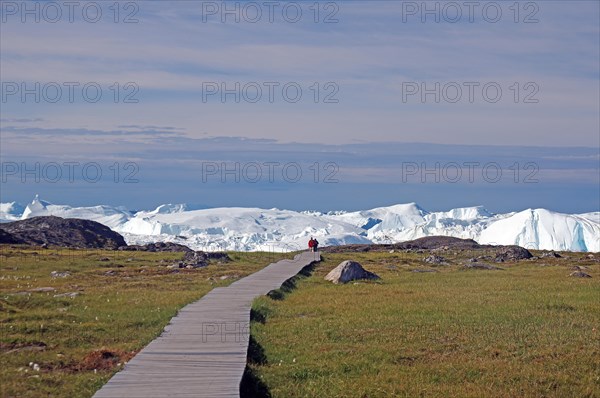 Wooden plank hiking trail leads through Arctic landscape