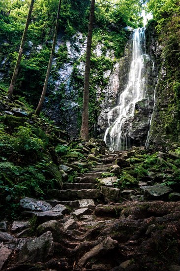 The Burgbach waterfall in the middle of the green forest. Waterfall in Schapbach